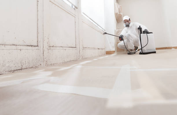 24/7 Emergency Mold Remediation experts in Garrett, WA