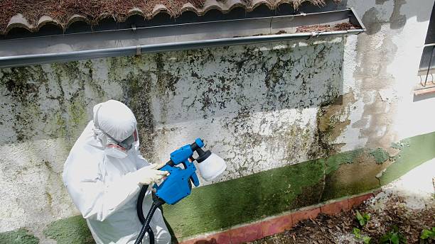 Top rated local Mold Remediation specialists in Garrett, WA